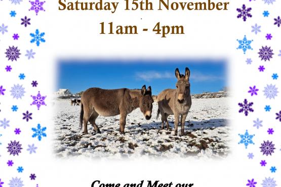 photo of 2 donkeys in white poster with patterned border