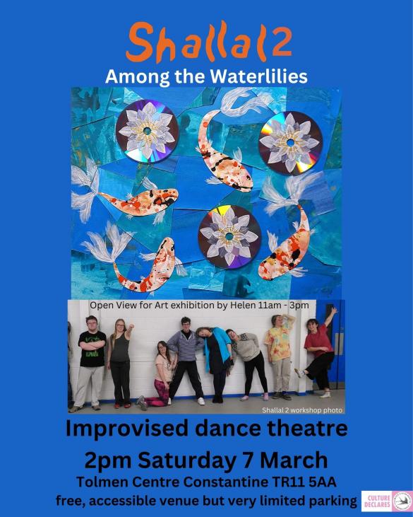 blue poster with fish art work and underneath photo of dancers