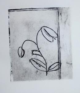 Etching of a snowdrop simple black outline on white paper